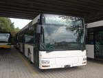 MAN/677252/210249---interbus-yverdon---nr (210'249) - Interbus, Yverdon - Nr. 60 - MAN (ex transN, La Chaux-de-Fonds Nr. 205; ex TN Neuchtel Nr. 205) am 12. Oktober 2019 in Kerzers, Murtenstrasse