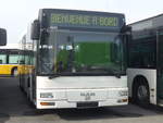(216'225) - Interbus, Kerzers - MAN (ex ARCC Aubonne; ex Rossier, Lussy) am 19.