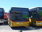 MAN/700585/217117---postauto-nordschweiz---bl (217'117) - PostAuto Nordschweiz - BL 141'298 - MAN am 21. Mai 2020 in Kerzers, Interbus