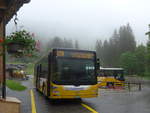 MAN/702570/217631---grindelwaldbus-grindelwald---nr (217'631) - Grindelwaldbus, Grindelwald - Nr. 11/BE 261'865 - MAN/Gppel am 7. Juni 2020 auf der Schwarzwaldalp