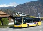 (248'773) - Grindelwaldbus, Grindelwald - Nr. 12/BE 356'085 - MAN am 18. April 2023 beim Bahnhof Wilderswil