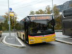 (256'566) - PostAuto Ostschweiz - SZ 27'381/PID 10'020 - MAN (ex Kistler, Reichenburg) am 31. Oktober 2023 beim Bahnhof Ziegelbrcke