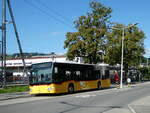 (253'300) - SB Trans, Sursee - Nr. 41/LU 187'453/PID 10'958 - Mercedes am 3. August 2023 in Neuenkirch, Sempach Station