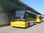 Solaris/702010/217498---postauto-bern---nr (217'498) - PostAuto Bern - Nr. 14/BE 669'367 - Solaris (ex Klopfstein, Laupen Nr. 14) am 31. Mai 2020 in Laupen, Garage