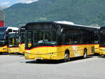 (236'258) - AutoPostale Ticino - TI 339'205 - Solaris am 26. Mai 2022 in Cadenazzo, Volvo