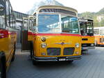 (228'502) - Stutz, Jonen - AG 6316 . FBW/Gangloff (ex Londonbus, Holziken; ex Furter, Oberentfelden; ex P 24'167) am 2. Oktober 2021 in Nfels, FBW-Museum