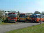 Leyland/764849/life-after-being-a-bushere-we Life after being a bus.

Here we see three Plaxton Panorama bodied Leyland Leopards, all new to BMMO (later known as Midland Red).

SHA 645G, dating from 1969, BMMO fleet number 6145;
Q124 VOE, originally registewred GHA 326D, dating from 1966, BMMO 5826;
WHA 237H, dating from 1970, BMMO 6237.

Photograph taken at The Transport Museum, Wythall, Birmingham, on 5th April 2003.

WHA 237 had called in to The Transport Museum after delivering an AEC Reliance to Birmingham.  SHA & Q124 were both resident at the museum.  I believe that Q124 VOE has since been scrapped.