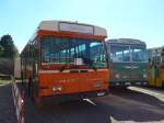 (155'218) - Sgura-Bus, Balerna - TI 257'950 - Saurer/Hess (ex AMSA Chiasso Nr. 15) am 13. September 2014 in Lugano, Saurertreffen
