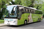 Mercedes Dreiachser/826688/herzum-tours-korbussen---grz-gh-103 Herzum Tour's, Korbussen - GRZ-GH 103 - Mercedes Benz Tourismo am 21. Mai 2023 in Leipzig (Aufnahme: Martin Beyer)