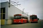 (074'207) - TN Neuchtel - Nr. 156 (ex Nr. 56) + Nr. 160 (ex Nr. 60) - FBW/Hess Gelenktrolleybusse am 16. Januar 2005 in Marin, Dpt
