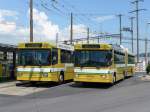 (151'469) - transN, La Chaux-de-Fonds - Nr. 117 - NAW/Hess Gelenktrolleybus (ex TN Neuchtel Nr. 117) + Nr. 116 - NAW/Hess Gelenktrolleybus (ex TN Neuchtel Nr. 116) am 12. Juni 2014 beim Bahnhof Marin