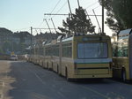 (173'098) - transN, La Chaux-de-Fonds - Nr. 113 - NAW/Hess Gelenktrolleybus (ex TN Neuchtel Nr. 113) am 17. Juli 2016 in Neuchtel, Dpt