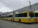 (258'955) - transN, La Chaux-de-Fonds - Nr. 102 - NAW/Hess Gelenktrolleybus (ex TN Neuchtel Nr. 102) am 26. Januar 2024 in Marin, Dpt
