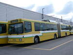 (261'664) - transN, La Chaux-de-Fonds - Nr. 119 - NAW/Hess Gelenktrolleybus (ex TN Neuchtel Nr. 119) am 23. April 2024 in Marin, Dpt