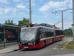 (197'182) - OBUS Salzburg - Nr. 345/S 239 SZ - Solaris Gelenktrolleybus am 13. September 2018 in Mayrwies, Daxluegstrassse