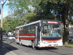 (211'062) - Pavas, San Jos - 11'382 - Caio-Mercedes am 13.