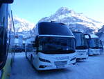 Schweiz/873888/271273---aus-deutschland-steger-pirmasens (271'273) - Aus Deutschland: Steger, Pirmasens - PS-P 703 - Neoplan am 18. Januar 2025 in Grindelwald, Grund