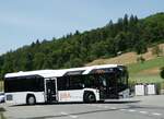 aar-busbahn-bba-aarau/818608/251817---bba-aarau---nr (251'817) - BBA Aarau - Nr. 41/AG 422'941 - Solaris am 20. Juni 2023 in Erlinsbach, Oberdorf