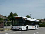 aar-busbahn-bba-aarau/818610/251819---bba-aarau---nr (251'819) - BBA Aarau - Nr. 41/AG 422'941 - Solaris am 20. Juni 2023 in Erlinsbach, Oberdorf