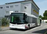 aar-busbahn-bba-aarau/818614/251823---bba-aarau---nr (251'823) - BBA Aarau - Nr. 175/AG 374'175 - Scania/Hess am 20. Juni 2023 in Buchs, Wynenfeld