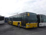 BVB Basel/699417/216756---bvb-basel---nr (216'756) - BVB Basel - Nr. 794 - Mercedes (ex ASN Stadel Nr. 199) am 3. Mai 2020 in Kerzers, Interbus