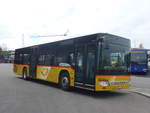 fluck-brienz/699342/216739---flueck-brienz---nr (216'739) - Flck, Brienz - Nr. 8/BE 643'926 - Setra am 3. Mai 2020 in Kerzers, Interbus