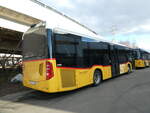 (232'558) - Flck, Brienz - Nr. 4/BE 517'311 - Mercedes am 30. Januar 2022 in Kerzers, Interbus