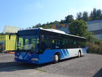 (196'161) - Limmat Bus, Dietikon - Mercedes am 20.