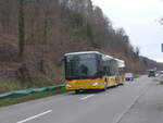 PostAuto Bern/693005/215037---postauto-bern---nr (215'037) - PostAuto Bern - Nr. 631/BE 734'631 - Mercedes am 2. Mrz 2020 in Laupen, Neueneggstrasse