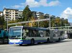 (242'900) - TPL Lugano - Nr. 436/TI 134'736 - Mercedes am 17. November 2022 beim Bahnhof Lugano