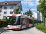 VBL Luzern/440056/160934---vbl-luzern---nr (160'934) - VBL Luzern - Nr. 241 - Hess/Hess Doppelgelenktrolleybus am 24. Mai 2015 in Obernau, Endstation