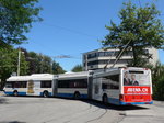 (173'775) - VBL Luzern - Nr. 231 - Hess/Hess Doppelgelenktrolleybus am 8. August 2016 in Luzern, Maihof