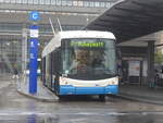 VBL Luzern/720114/222482---vbl-luzern---nr (222'482) - VBL Luzern - Nr. 213 - Hess/Hess Gelenktrolleybus am 23. Oktober 2020 beim Bahnhof Luzern