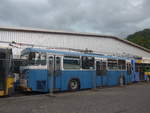 VBZ Zurich/703210/217884---vbz-zuerich-rtrobus-- (217'884) - VBZ Zrich (Rtrobus) - Nr. 4616 - Bssing Enteiser am 13. Juni 2020 in Moudon, Rtrobus