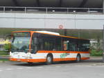 Herisau/671442/208925---regiobus-gossau---nr (208'925) - Regiobus, Gossau - Nr. 7/SG 433'810 - Mercedes (ex VBH Herisau Nr. 7) am 17. August 2019 beim Bahnhof Herisau