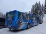 (200'734) - Party-Bus, Ruswil - LU 117'114 - Saurer/R&J (ex Hsler, Rickenbach) am 12. Januar 2019 in Adelboden, ASB