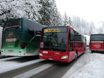 (258'272) - AFA Adelboden - Nr. 94/BE 26'974 - Mercedes am 6. Januar 2024 in Adelboden, Unter dem Birg