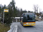 fluck-brienz/880101/274176---flueck-brienz---nr (274'176) - Fl�ck, Brienz - Nr. 3/BE 568'700/PID 5426 - Setra am 24. April 2025 in Axalp, Sportbahnen