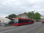 Bern/673231/209313---bernmobil-bern---nr (209'313) - Bernmobil, Bern - Nr. 32 - Hess/Hess Gelenktrolleybus am 5. September 2019 in Bern, Schanzenstrasse