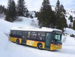 (215'087) - PostAuto Bern - BE 403'166 - Scania/Hess (ex AVG Meiringen Nr. 66; ex Steiner, Messen) am 8. Mrz 2020 in Grindelwald, Schrmstutz
