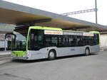 Huttwil/873768/271221---busland-burgdorf---nr (271'221) - Busland, Burgdorf - Nr. 135/BE 901'135 - Mercedes am 17. Januar 2025 beim Bahnhof Huttwil