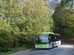 (155'545) - Busland, Burgdorf - Nr. 207/BE 737'207 - Mercedes am 5. Oktober 2014 in Kaltacker, Lueg