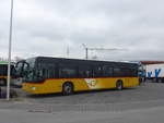 Kerzers/694768/215428---wieland-murten---nr (215'428) - Wieland, Murten - Nr. 50/FR 300'633 - Mercedes (ex Klopfstein, Laupen Nr. 10) am 22. Mrz 2020 in Kerzers, Interbus