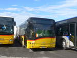 Kerzers/699849/216910---carpostal-ouest---vd (216'910) - CarPostal Ouest - VD 305'105 - Solaris am 10. Mai 2020 in Kerzers, Interbus
