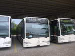 (219'362) - Interbus, Yverdon - Nr. 207 - Mercedes (ex BSU Solothurn Nr. 43) am 2. August 2020 in Kerzers, Murtenstrasse