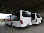 Kerzers/760768/230710---interbus-yverdon---nr (230'710) - Interbus, Yverdon - Nr. 48 - Setra (ex Nr. 3; ex SBC Chur Nr. 103; ex SBC Chur Nr. 13) am 13. November 2021 in Kerzers, Murtenstrasse