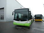 Kerzers/761860/231002---transn-la-chaux-de-fonds-- (231'002) - transN, La Chaux-de-Fonds - Nr. 139 - Hess/Hess Gelenktrolleybus (ex TN Neuchtel Nr. 139) am 28. November 2021 in Kerzers, Interbus