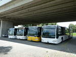 Kerzers/778172/236499---interbus-yverdon---nr (236'499) - Interbus, Yverdon - Nr. 210 - Mercedes (ex PLA Vaduz/FL Nr. 55) am 29. Mai 2022 in Kerzers, Murtenstrasse