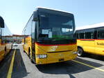 Kerzers/818159/251592---carpostal-ouest---pid (251'592) - CarPostal Ouest - PID 12'055 - Irisbus (ex Ballestraz, Grne) am 17. Juni 2023 in Kerzers, Interbus