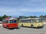 (171'254) - VB Biel - Nr. 21 - Berna/Hess Trolleybus + TN Neuchtel (Rtrobus) - Nr. 6 - FBW/Tscher Trolleybus (ex VBZ Zrich Nr. 53) am 22. Mai 2016 in Luzern, Verkehrshaus